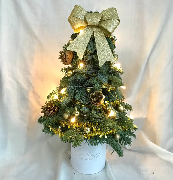 Mini Christmas Tree Bloom Box
