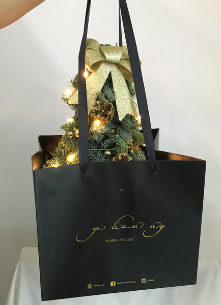 Mini Christmas Tree Bloom Box